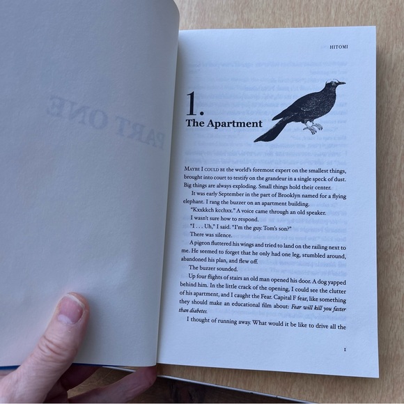 Hitomi Soft Cover Book By Nick Jaina New - Picture 6 of 9